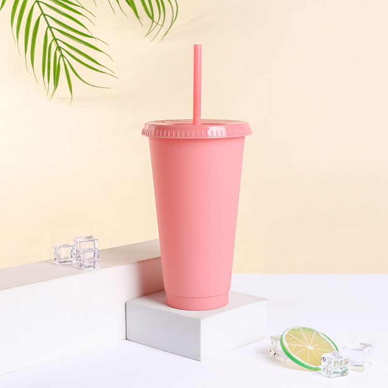 Hot Selling Funny Stylish Matt - Coffee Tea Tumbler recension och pris