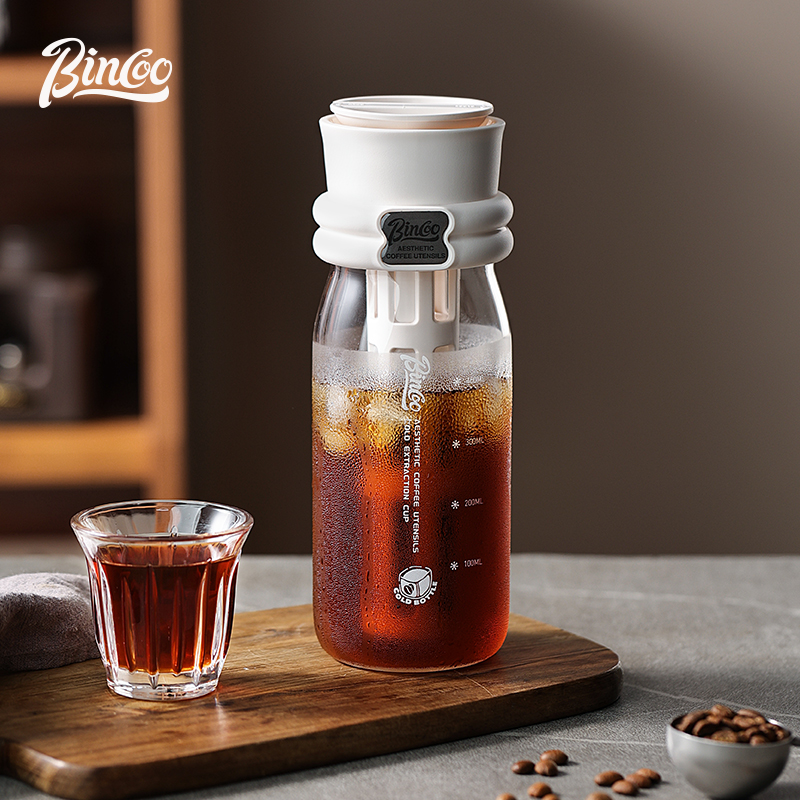 Bincoo 600ML Summer Cold Brew  - Cold Brew Bottle recension och pris
